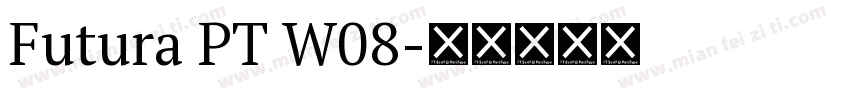 Futura PT W08字体转换